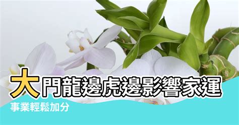 虎邊種樹|風水有關係：謝沅瑾老師，植物、拱門、回風煞、哭字。